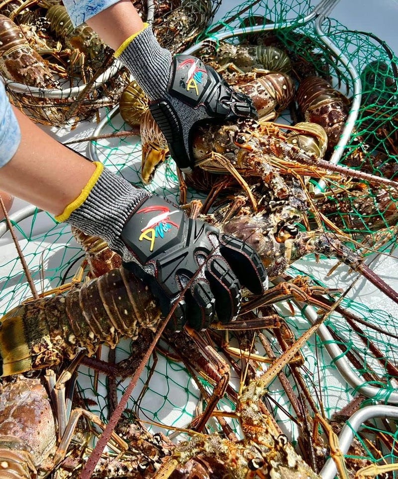 DUVEIN Lobster Gloves for Diving Kevlar Spearfishing Dive Glove Puncture Resistant - Image 2